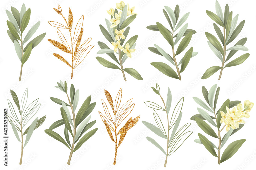 Fototapeta premium Collection of hand drawn green and golden olive branches, isolated illustrations on white background