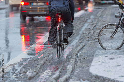 Quadro su tela slush_cycling