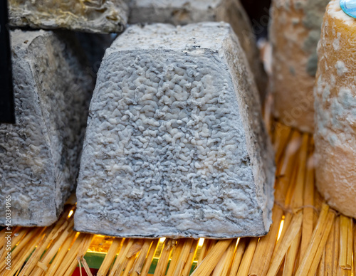 Fototapeta Naklejka Na Ścianę i Meble -  Cheese collection, French cheese Valencay made from goat milk in region Berry, Loire Valley in France