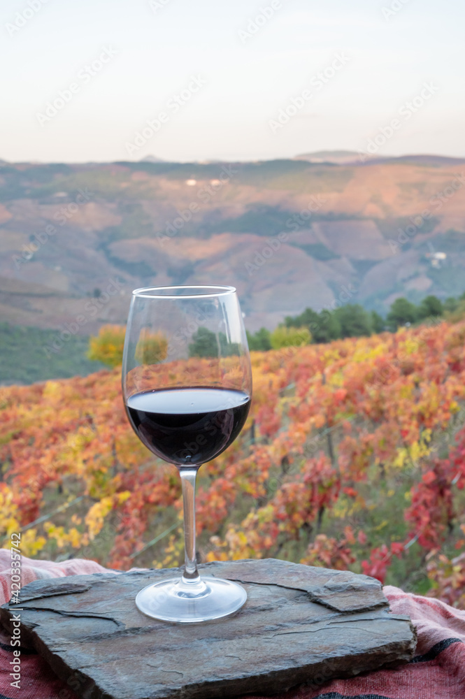 Glass of Portuguese red dry wine, produced in Douro Valley and old terraced vineyards on background in autumn, wine region of Portugal