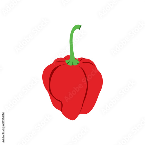 red scotch bonnet pepper vector isolated on a white background