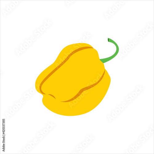 yellow scotch bonnet pepper vector isolated on a white background
