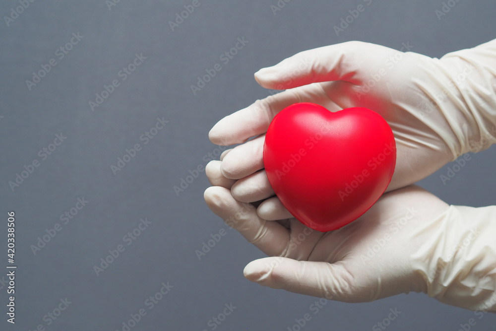 The hand of a doctor wearing a medical glove is supporting the heart on gray background, health insurance The hand of a doctor wearing a medical glove is supporting the heart on gray background, health insurance
