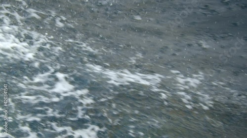 Dolphins playfully jumping out of water, surfacing to get air photo