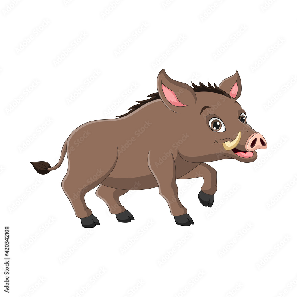 Wild boar cartoon on white background