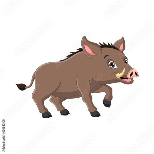 Wild boar cartoon on white background