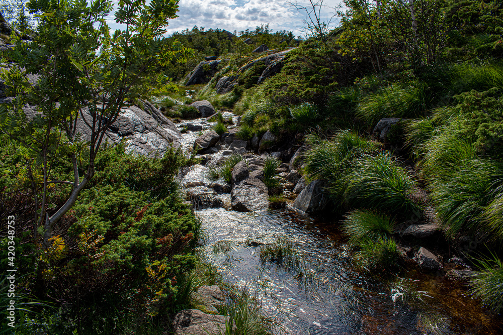 Mountain tundra river landscape, Norway, on the way to Preikestolen Mountain tundra river landscape, Norway, on the way to Preikestolen