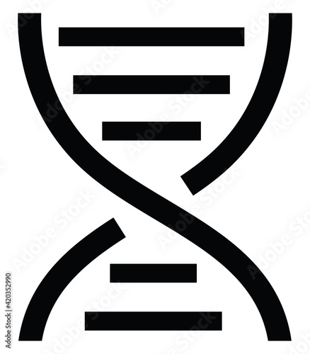 DNA replication, illustration, vector on a white background
