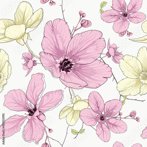 flower illustration with white background