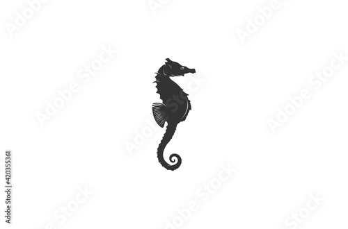 seahorse illustration on white background