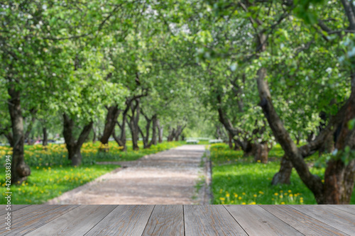 grey wooden aged table top with blurred blooming garden background