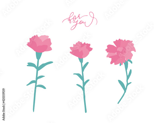 母の日　カーネーション　プレゼント　花　Mother's Day Carnation Present Flower