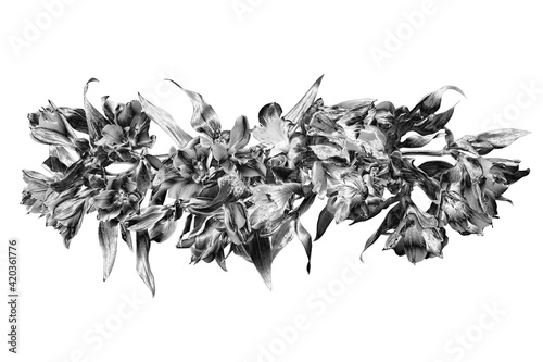 Wallpaper Mural Silver flowers bouquet white background isolated close up, beautiful black white flower bunch, shiny gray metal leaves, floral branch, decorative border, pattern, design element, vintage decoration Torontodigital.ca