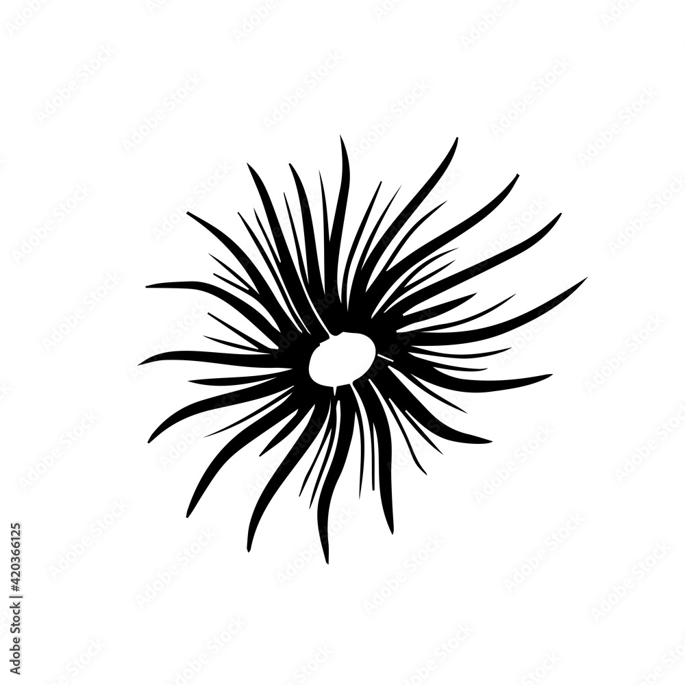 Colorful black and white pattern for coloring. Daisy flower illustration.