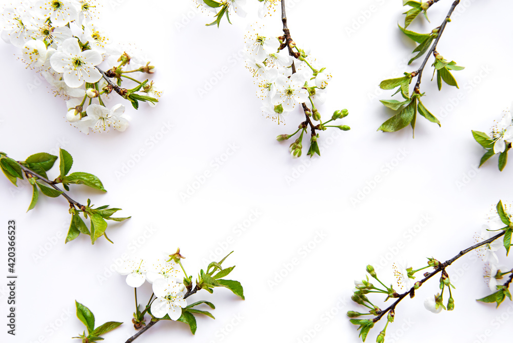 Spring border background with beautiful white flowering branches. Spring border background with beautiful white flowering branches.