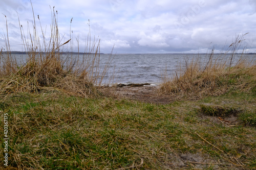 Uferstreifen mit Grasbewuchs