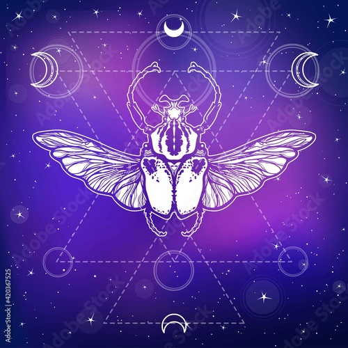 Linear drawing bug Goliath. Esoteric symbol. Sacred geometry. Background - the star sky, space. Vector illustration. Print, poster, t-shirt, card.