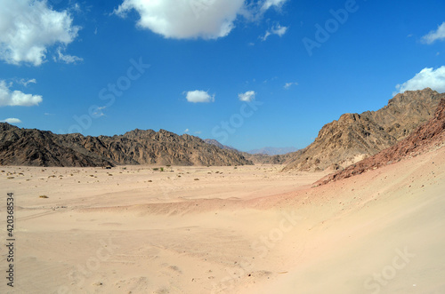 Desert of Sinai Peninsula, Egypt. Near Sharm El Sheikh
