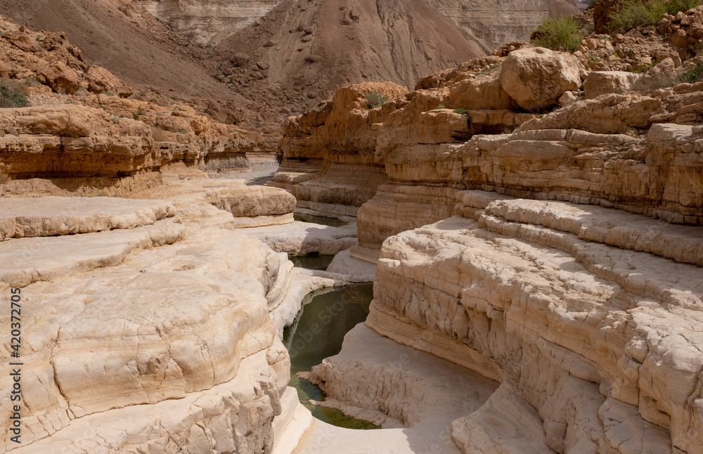 Water pools created by heavy rain in dry wadi Hever, the nature reserve in Judaean Desert. White walls of a narrow canyon. Unusual and rare desert landscape.