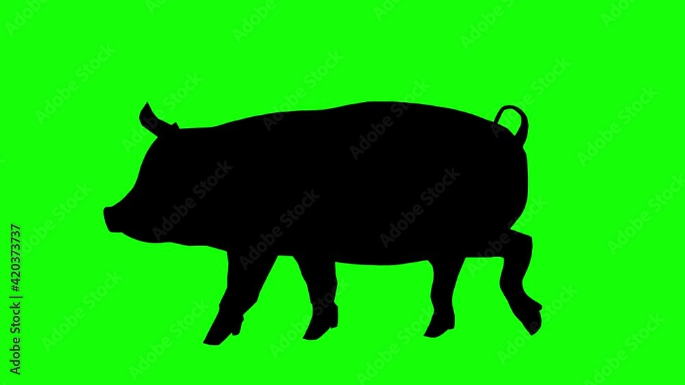 Silhouette of a pig walking, on green screen, side view. Animal silhouettes seamless loop 3D animation. Silhouette of a pig walking, on green screen, side view. Animal silhouettes seamless loop 3D animation.