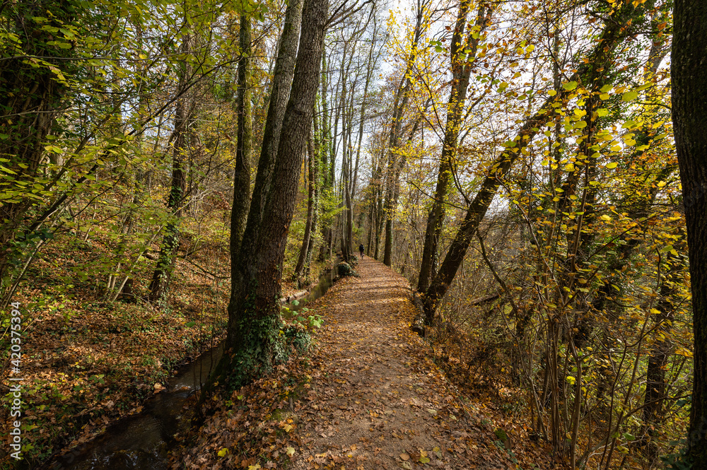 Sentier le long du canal, Versois