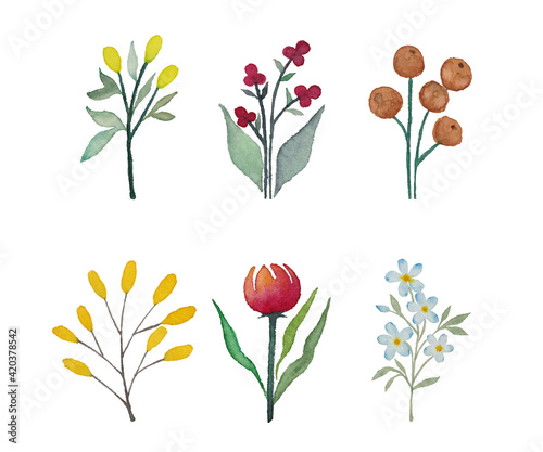 Watercolor small cute flower set illustration 