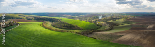 Aerial view of beautiful countryside with green rolling field in golden hour before sunset