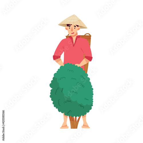 Vietnamese Man Farmer in Straw Conical Hat Picking Tea Leaves in Wicker Basket Vector Illustration