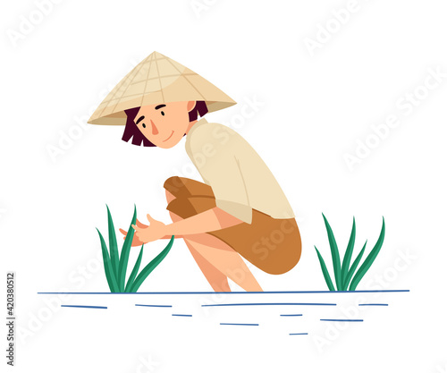 Vietnamese Woman Farmer in Straw Conical Hat Picking Rice Crop in Watery Ground Vector Illustration