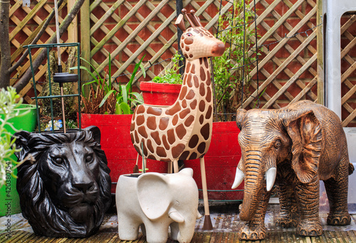 Photography Safari Plant Pots