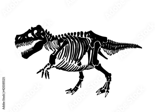 Graphical skeleton of raptor on white background,vector element,anthropology fossil