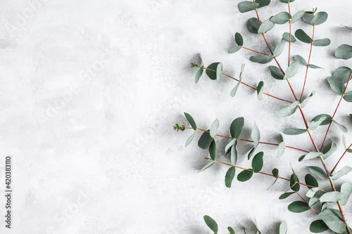 Obraz małe zielone liście na jasnym tle