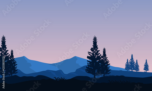 Cold mornings with views of the mountains and green pine trees in the countryside. Vector illustration