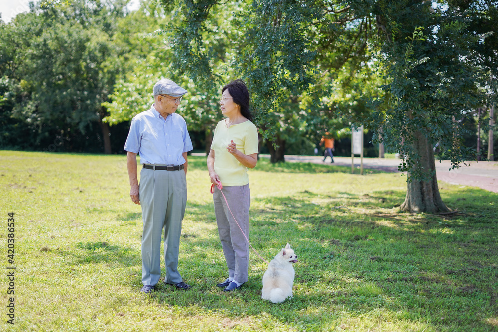 Fototapeta premium 夫婦で犬の散歩をする元気なシニア