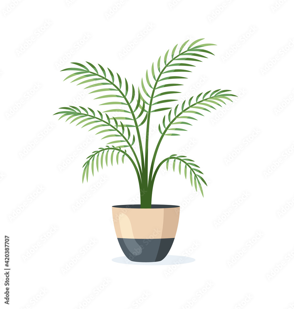 Flower in pot isolated on white background Flower in pot isolated on white background