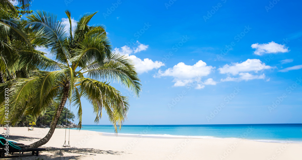 Summer vacation concept with Banner travel with coco palm tree as swing for relax lifestyle of white sand  background, Travel summer concept