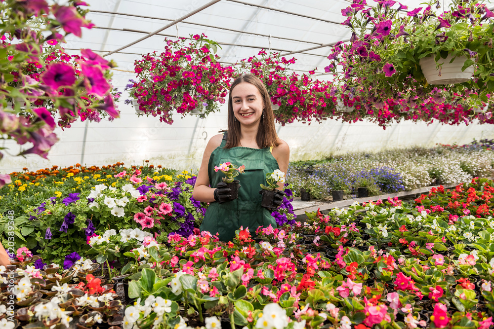Portrait of young female gardener in apron working with plants in pots in greenhouse