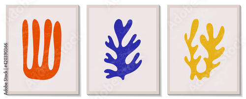 Trendy contemporary abstract matisse geometric algae composition