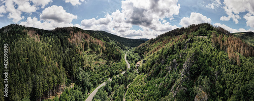 panorama of the harz mountains photo