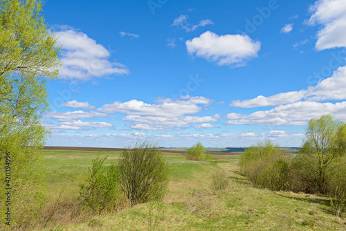Spring landscape with fields  ravines and blue sky with clouds