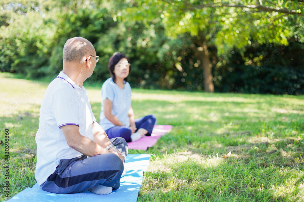 Fototapeta premium 野外でヨガをする高齢者