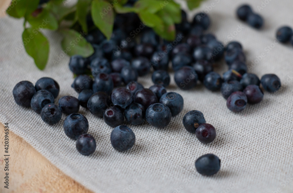 sweet wild blueberries picked from the forest, laid out on a linen napkin sweet wild blueberries picked from the forest, laid out on a linen napkin
