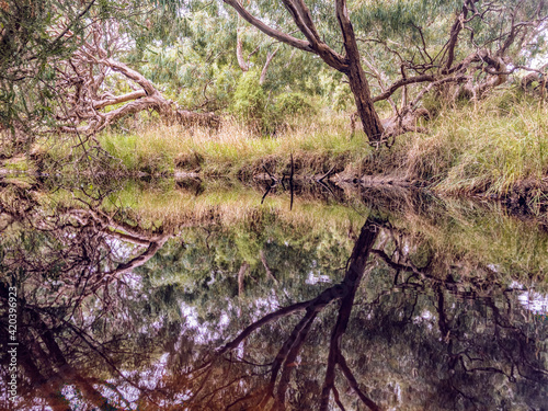 Moonee Ponds Creek within Woodlands Historic Park photo