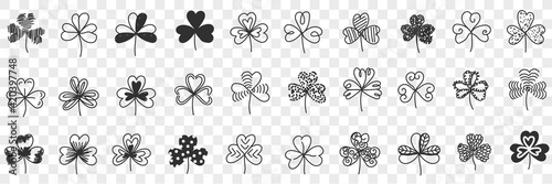 Clover plant pattern doodle set. Collection of hand drawn natural clover plants of various pattens in rows decoration isolated on transparent background