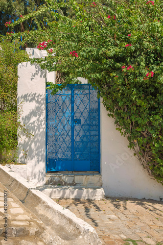 blue door with bars in the Andalusian style, in the wall of a white building