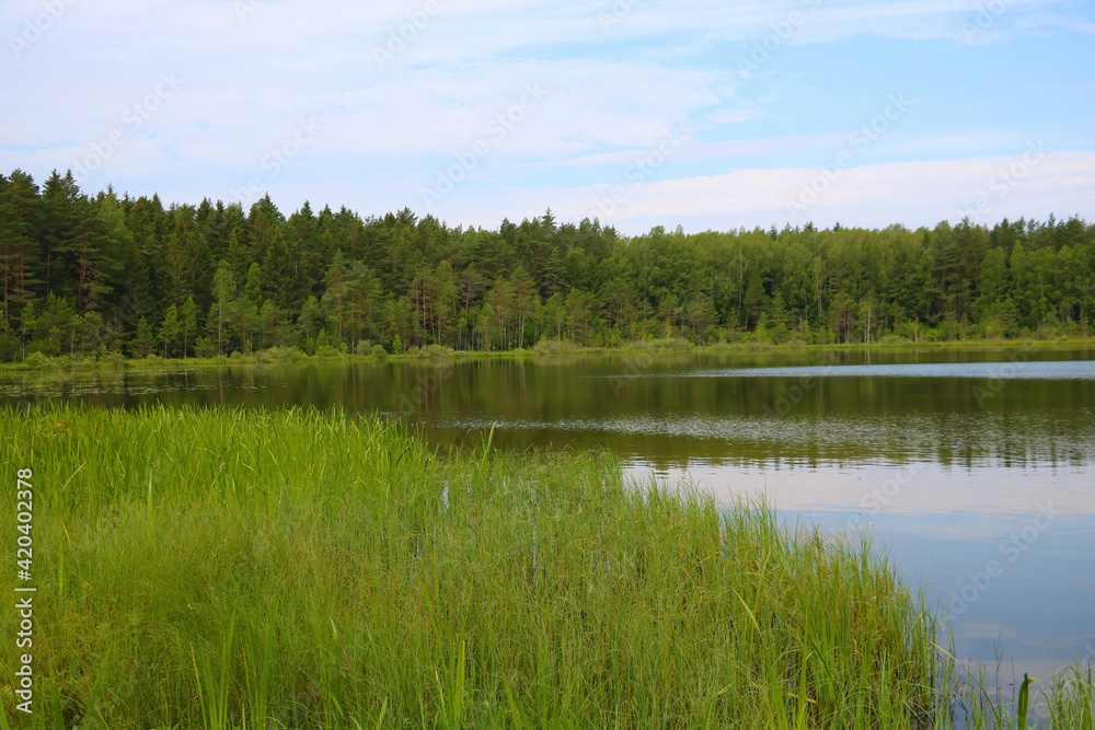 View of a small lake on a spring day.