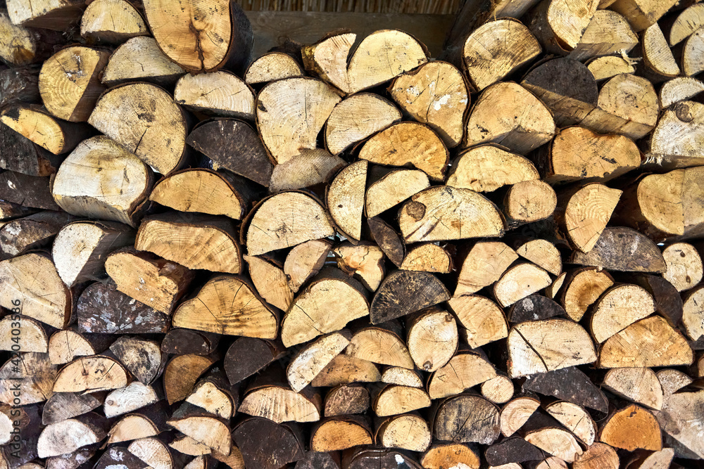 small tree trunks in forest used for firewood small tree trunks in forest used for firewood