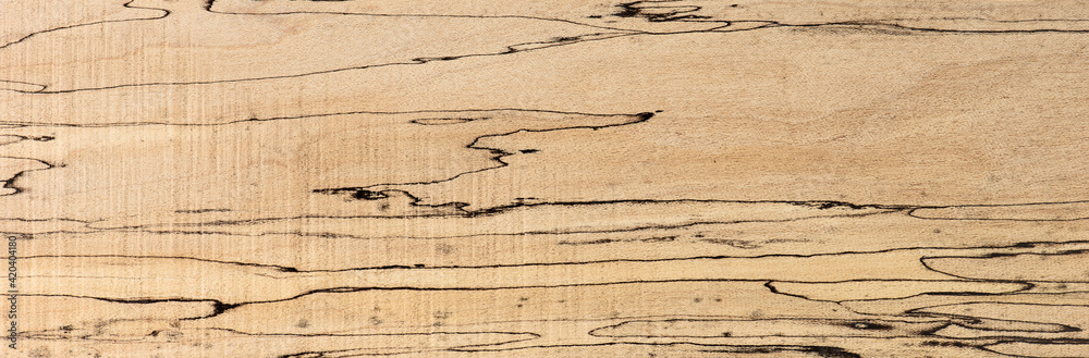 Spalted maple texture, with unique and distinctive black lines. Sought  after wood for guitar making. Photos | Adobe Stock