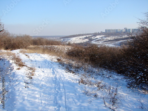 Panorama of a winter road on a compacted snow carpet, stretching upwards into the infinity of sky blue.