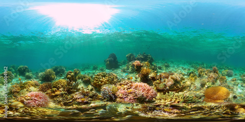 Beautiful underwater landscape with tropical fishes and corals. Life coral reef. Reef Coral Garden Underwater. Philippines. 360 panorama VR © Alex Traveler